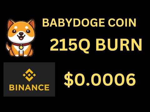 宝贝狗狗币今日新闻 | 3.1 万亿烧钱 | BabyDoge 硬币价格泵 |币安上线