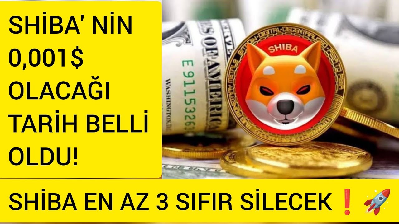 Shiba Coin什么时候能达到0.001美元？ Date Give 柴犬集会即将到来！ ??#shibainu