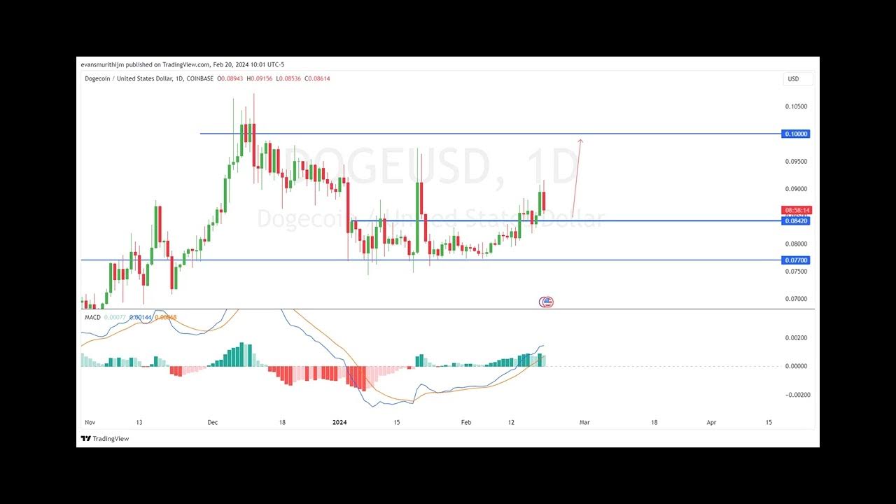 Dogecoin Price Analysis: Is DOGE Returning The Gains Following Massive Whale Activity?