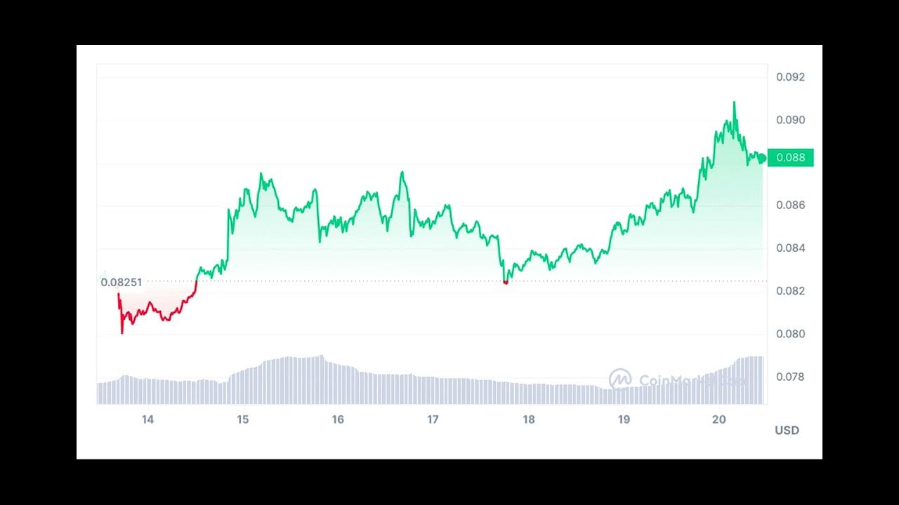 Dogecoin: Top Reasons Why Price is Pumping