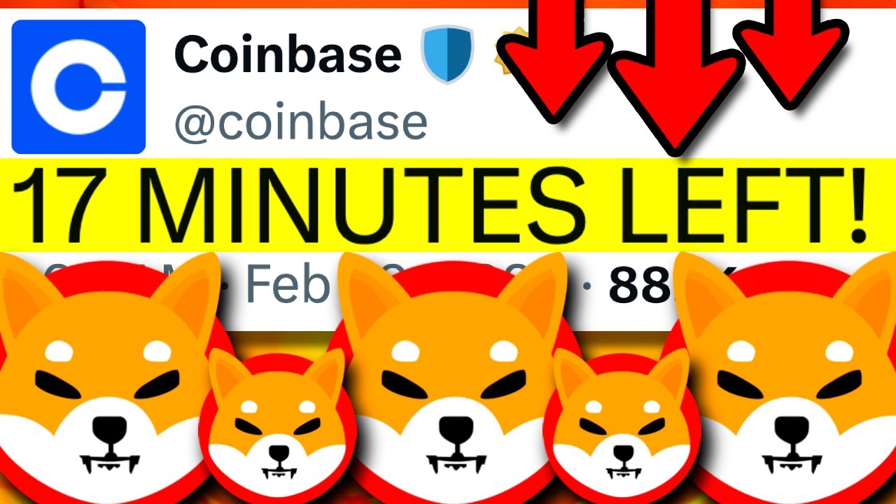 SHIBA INU：COINBASE SHIBARIUM PUMP 今晚发生！！！（不是开玩笑！） - SHIBA INU COIN 今日新闻