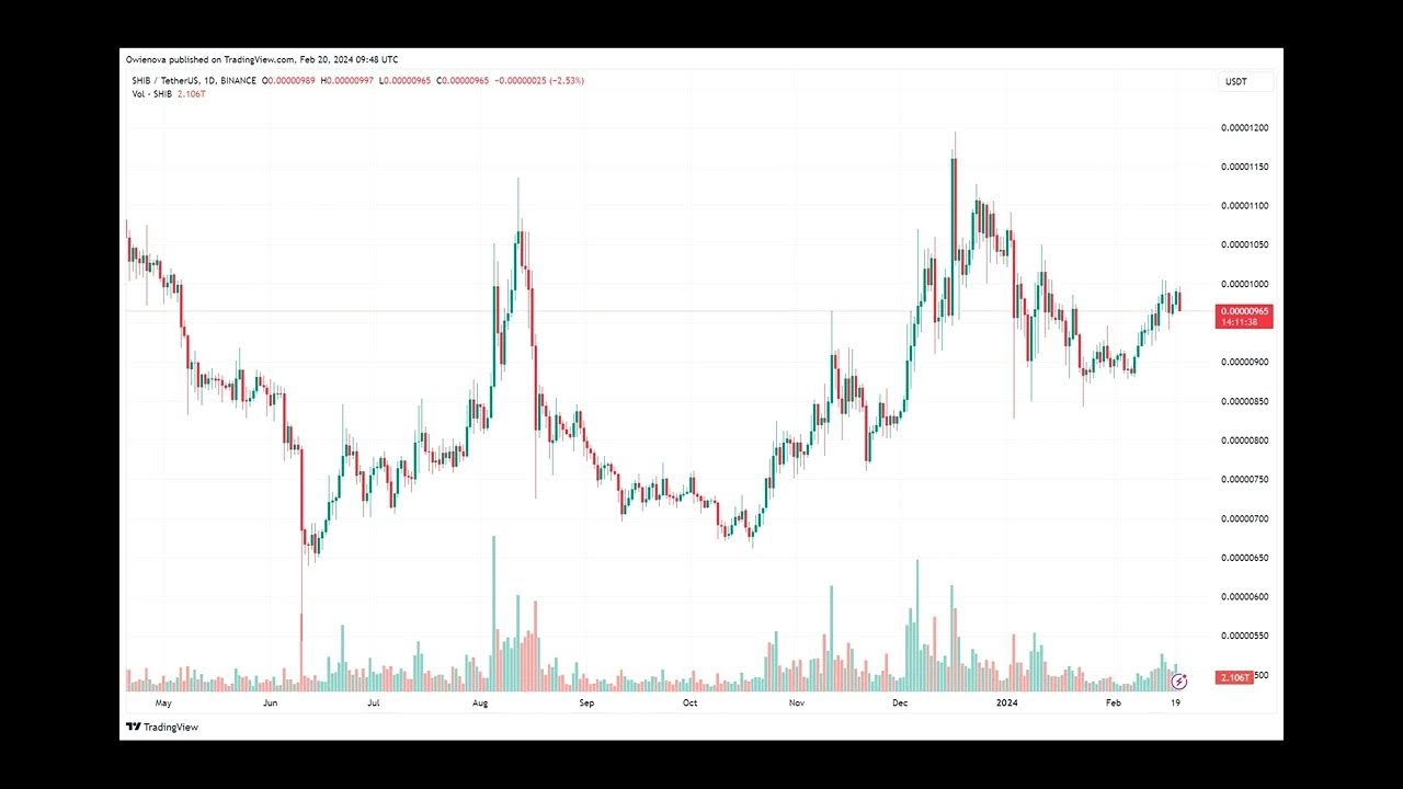 Shiba Inu: Shibarium Transaction Activity Spike Amid Market Growth