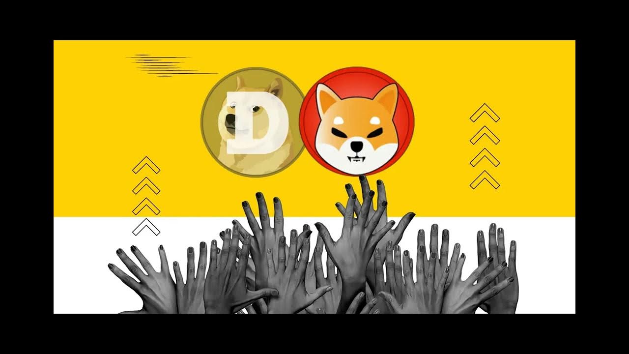 Les prix du Shiba Inu et du Dogecoin perdent de leur élan alors que le prix du BTC teste à nouveau le niveau de 50 000 $