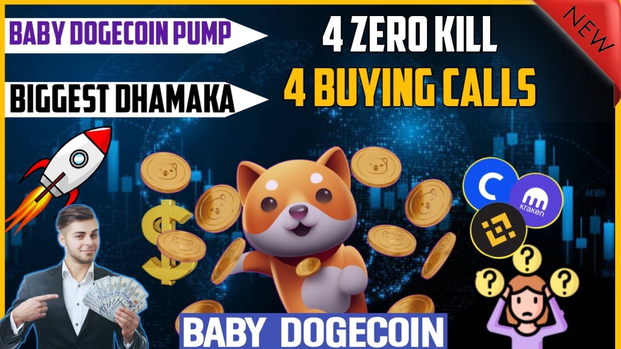 Baby Dogecoin Größter Dhamaka bald ?? BabyDoge Future ? Heute Krypto-News