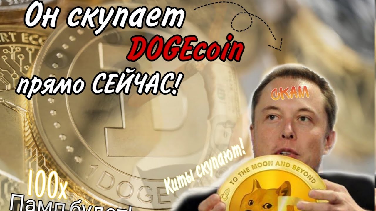 70-Millionen-Dollar-Kauf von Dogecoin VON ELON! DIESES JAHR 100-FACH PUMPEN?! KAUFE ICH Doge? Warum glaube ich an Wachstum!?