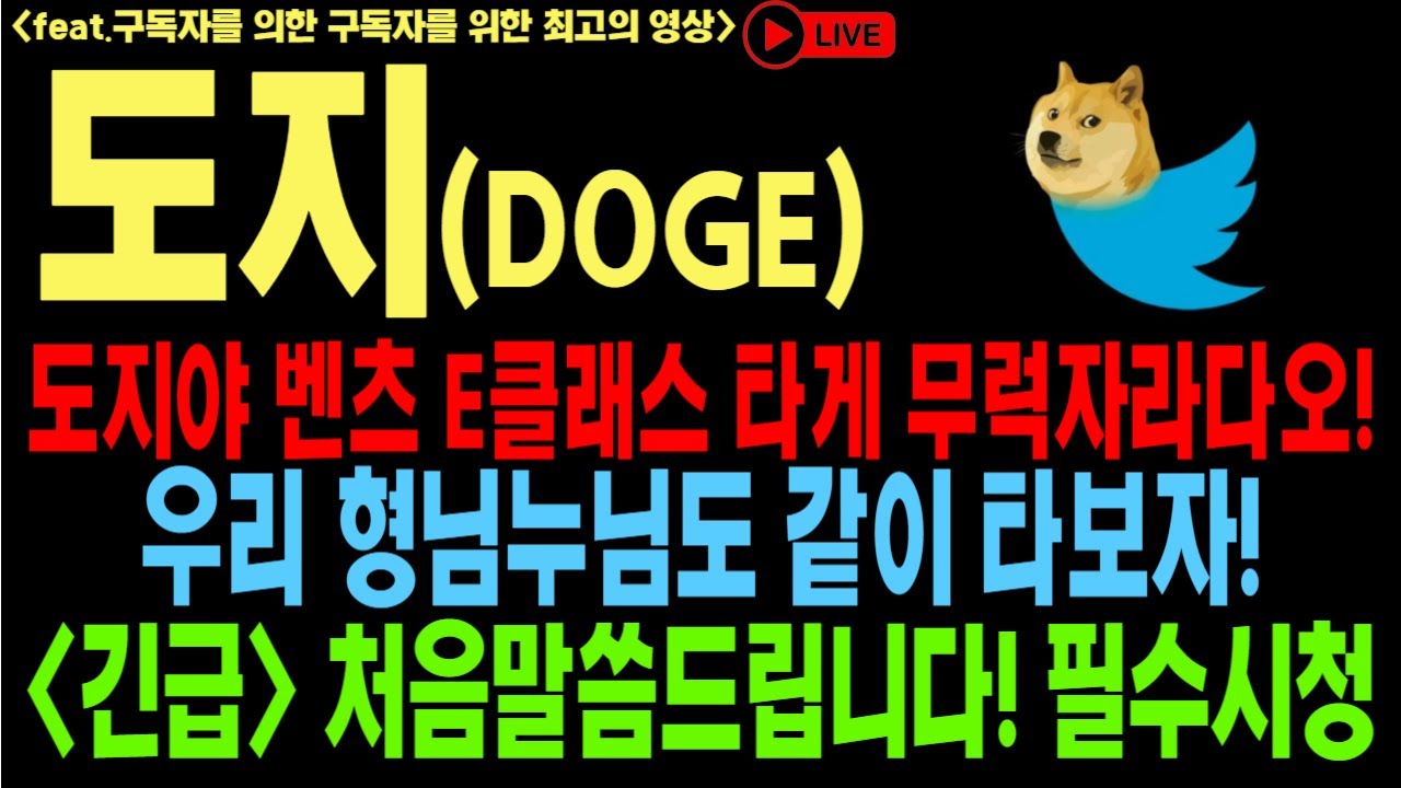 狗狗币 狗狗币展望 DOGE SHIB 币展望 比特币 以太坊 狗狗币