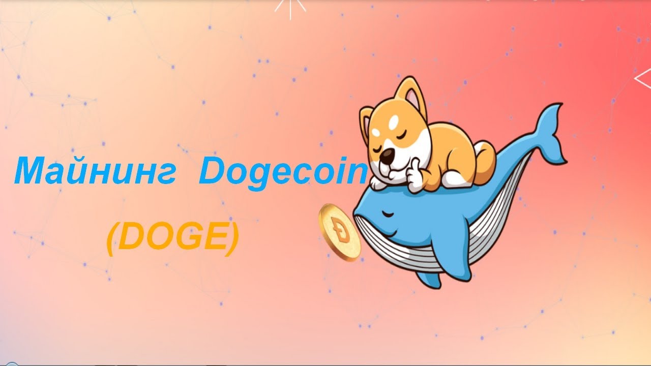 Dogecoin DOGE は完全な責任を負って投資する必要はありません。資金の引き出し。