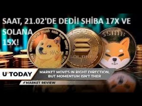 時間為 21.02！?SHIBA INU COIN 17X 和 SOLANA 15X：團隊未知的爆炸策略！！?