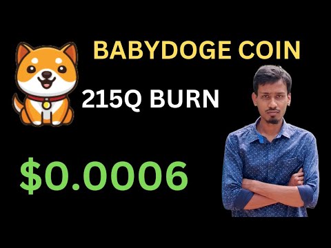 오늘의 Baby Dogecoin 뉴스 |170조 소각 | BabyDoge 코인 가격 펌프 | 새 목록