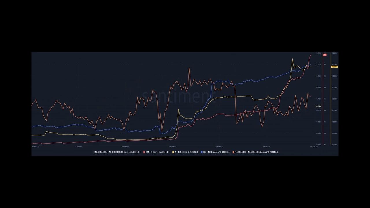 Les traders DOGE augmentent leurs avoirs, devriez-vous faire de même ?