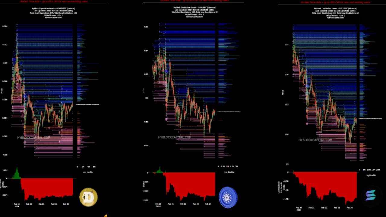 24/7 直播 |艾达 |索尔 |总督 |清算水平、山寨币、Hyblock