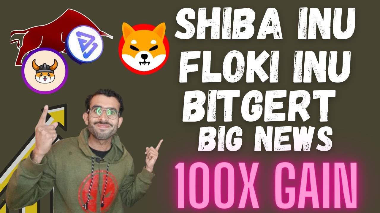 Bitgert 币新闻 | Floki Inu 硬币 Shiba Inu 硬币更新 | Shiba Floki Inu Bitgert Brise 硬币