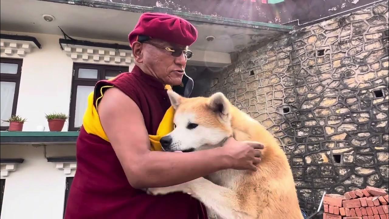 The Gyalwang Drukpa with his pet dog Pullman?