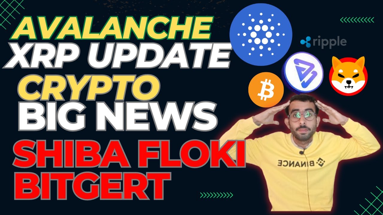 XRP AVAX AVALANCHE | Crypto Market Update | Shiba Inu Coin Bitgert Floki Inu News