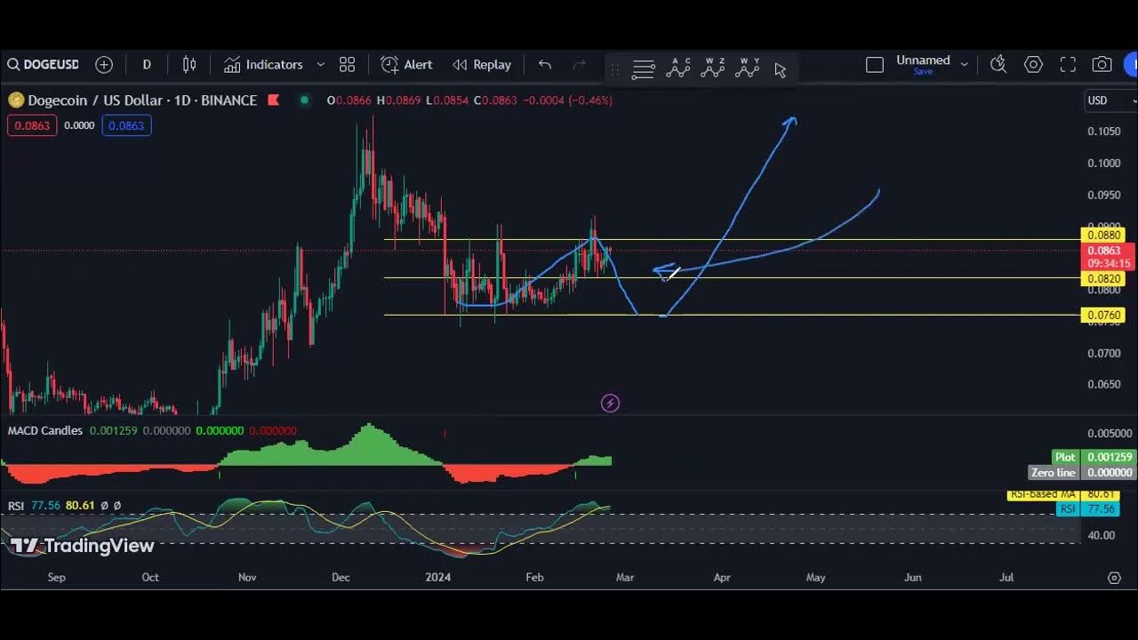 2024년 2월 25일 Dogecoin 기술적 분석 - DOGE