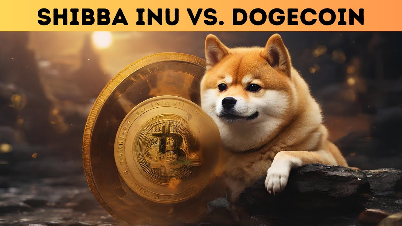 Shibba Inu vs. Dogecoin - 어느 것이 더 나은 투자입니까?