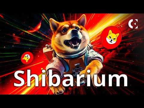 Shiba Inu- und Shibarium-Token-Update und Verrücktheit