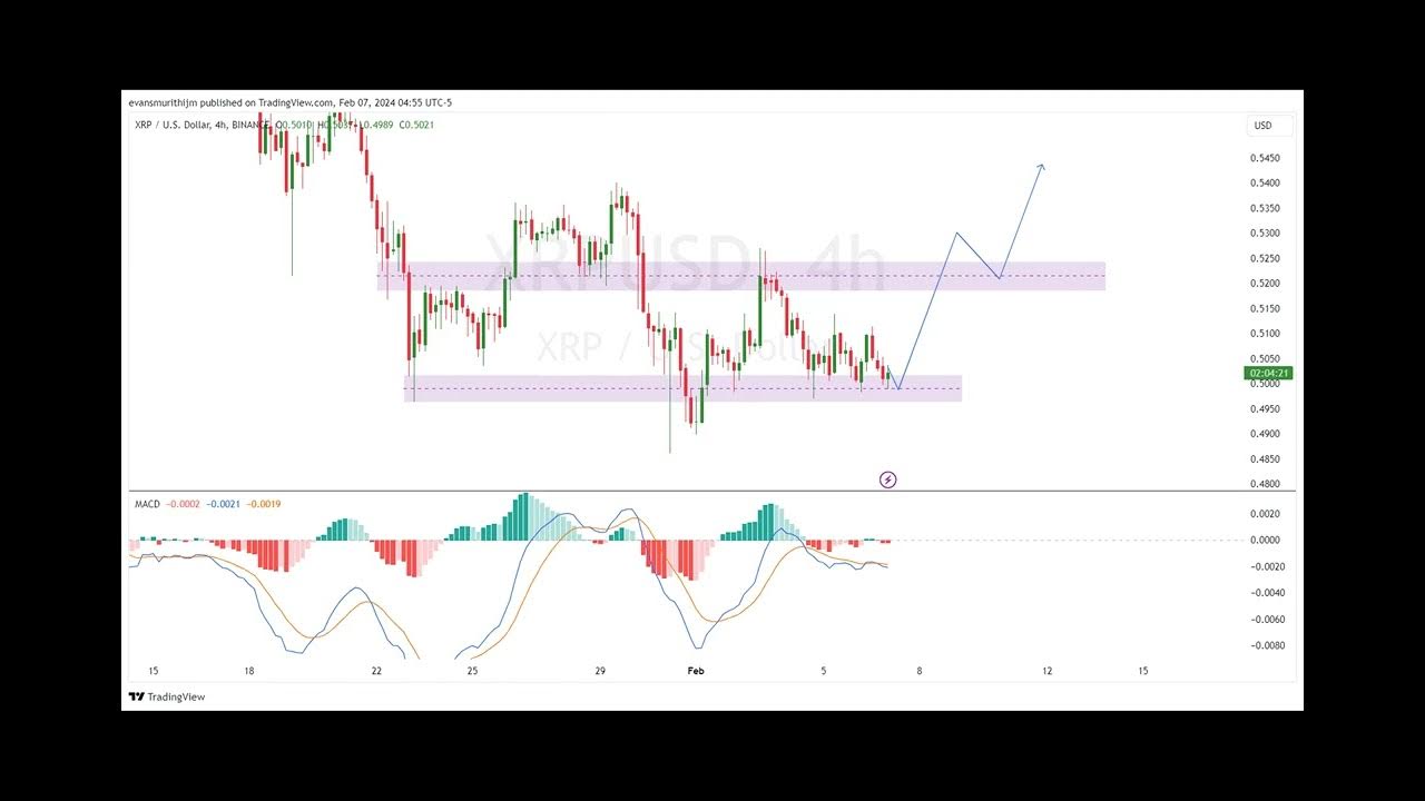 3 günstige Altcoins zum Kauf am 7. Februar: XRP, Shiba Inu Coin (SHIB), Terra Classic (LUNC)