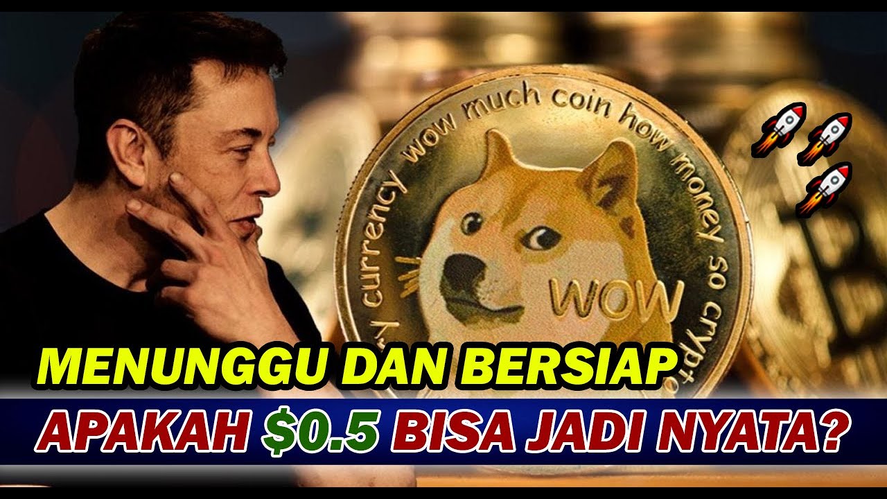 DOGECOIN: 적절한 시기와 순간을 목표로 삼기 || 펌프 또는 덤프??