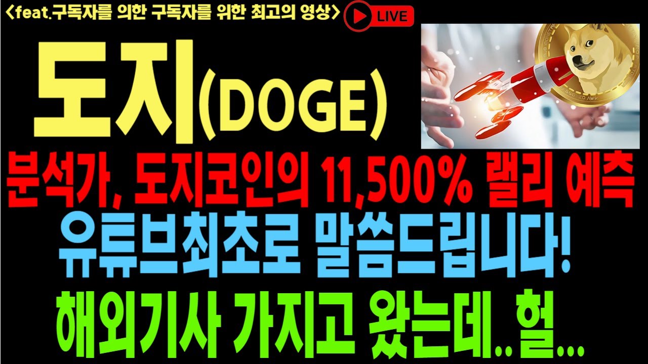 도지코인 도지코인전망 도지코인전망 DOGE SHIB 코인전망 비트코인 이더리움 도지코인