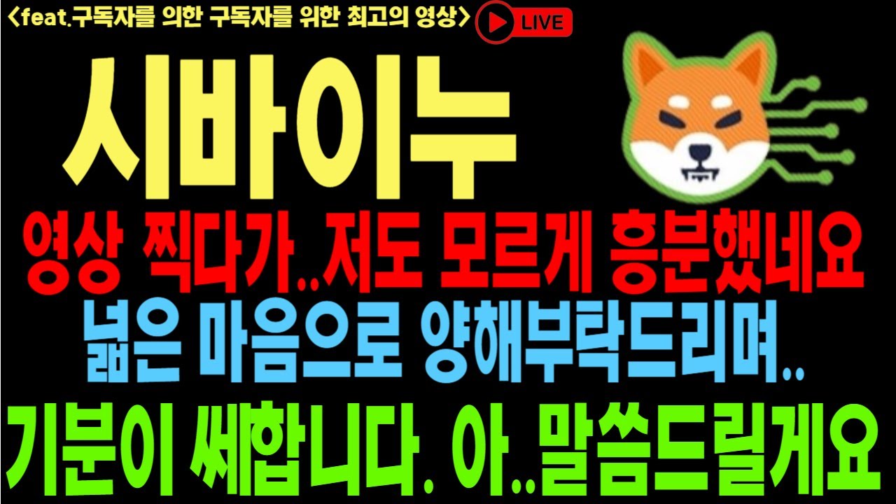 시바이누 시바이누코인 시바이누코인전망 SHI B DOGE 일론머스크 소각률 시바리움 코인전망 비트코인 이더리움 도지코인