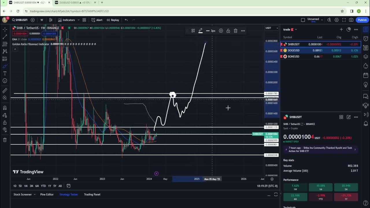 Shiba Inu、DogeCoin 和 Bone ShibaSwap 技术分析和预测 - 现在是买入时机吗？