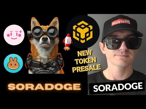 $SORADOGE - SORA DOGE 代币预售加密货币山寨币 如何购买 BNB BSC SORADOGE PANCAKESWAP IDO