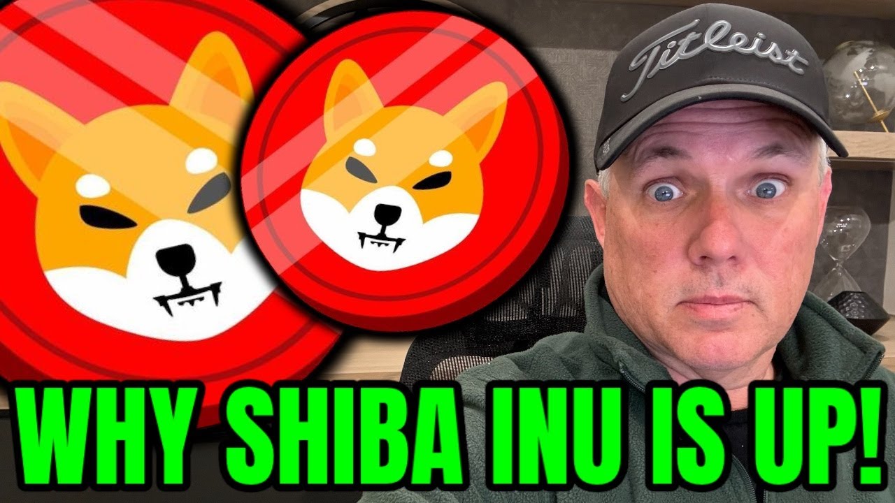 POURQUOI SHIBA INU EST EN FLÈCHE ! DÉCOUVREZ MAINTENANT!