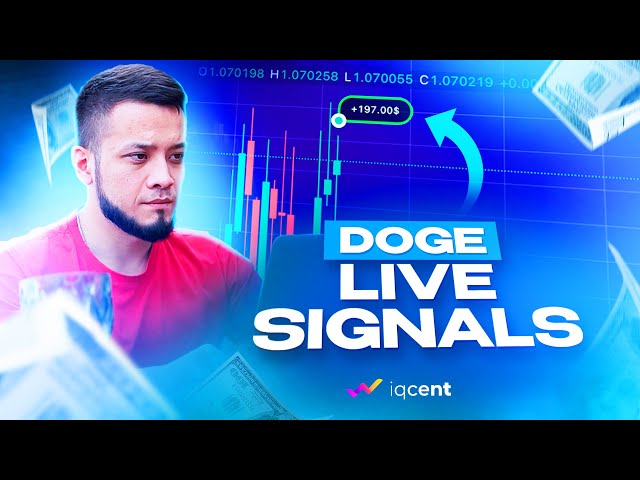 取引戦略 DOGECOIN | IQcent 取引 2024 | X5 トレーダー