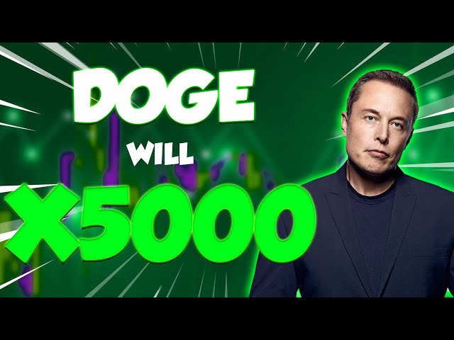 DOGE WILL X5000 なぜ、いつ?? - ドージコインの価格分析と2024年の予測