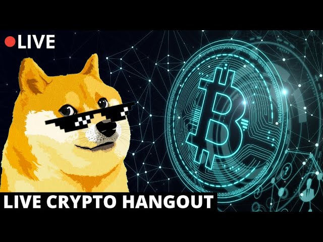 ビットコインライブ - 柴犬ライブ - dogecoinライブ - PHUN株 - OCEA株 - PBM - SPY - BONK