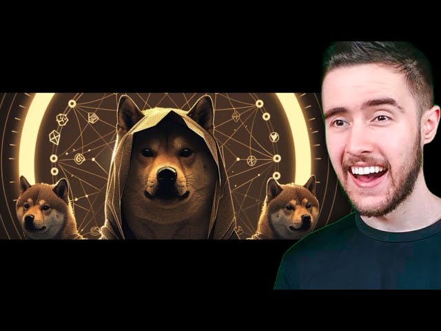 このプロジェクトはすべての DOGE MEMECOINS [DogeCoin、BabyDogeCoin、FlokiInu、Dogelon、Shiba Inu] を統合します。