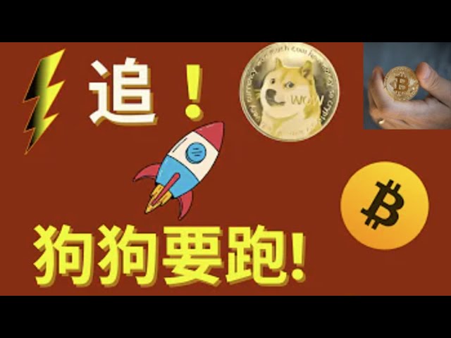 比特币BTC冲击6万点，狗狗币猛然醒悟！错过比特币了吗？不要错过这些小炸币！视频 最后，一个重要警告揭晓！ #btc #bitcoin #bitcoinETF #btc #ETH #ethercurrency #do