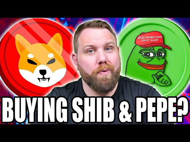 SHIBA INU & PEPE COIN KAUFEN? GROSSE GEWINNE UND RIESIGES POTENZIAL? WIE HOCH?