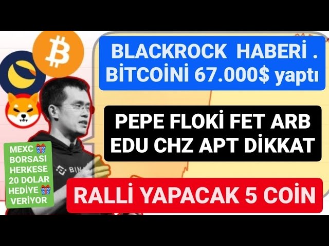 BLACKROCK NEWS HAT BITCOIN AUF 67.000 US-Dollar GEHÖRT🚨5 MÜNZEN ZUR RALLYE🚨PEPE FLOKİ FET ARB EDU CHZ APT ACHTUNG