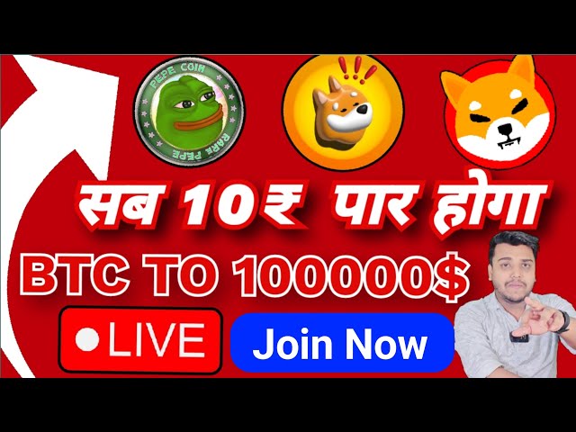 Pepe coin, Shiba inu, Baby doge à 10$ en 2024 ?? | BTC POUR ATTEINDRE 100000$