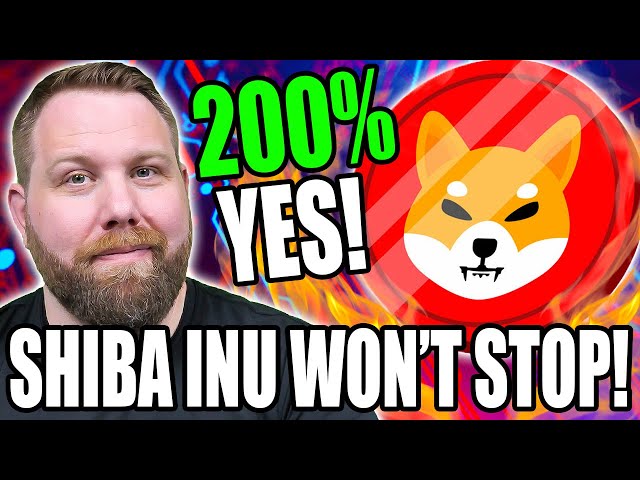 SHIBA INU 코인 200% 이익으로 도지코인 킬러 경쟁이 가속화됩니다