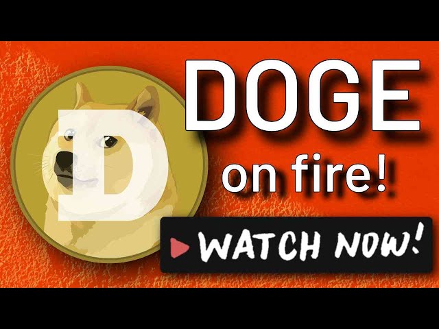 달을 향해 DOGE!! 일일 분석 업데이트! #dogecoin #crypto #가격예측