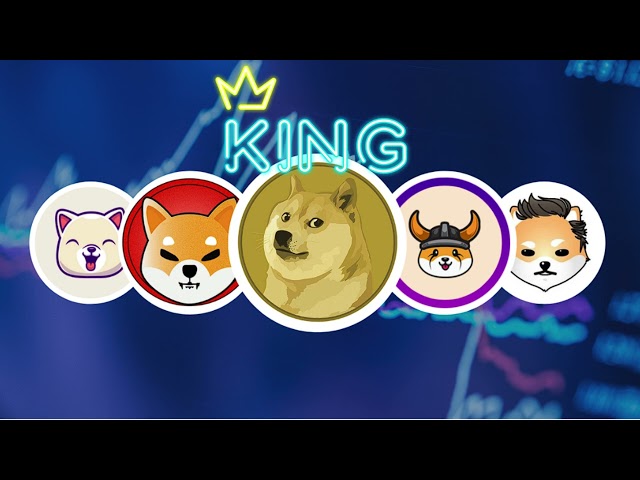 암호화폐 매니아! 밈 코인이 요금을 주도합니다! Dogecoin, Shiba Inu, Bonk, Pepe 등 모두 🔥