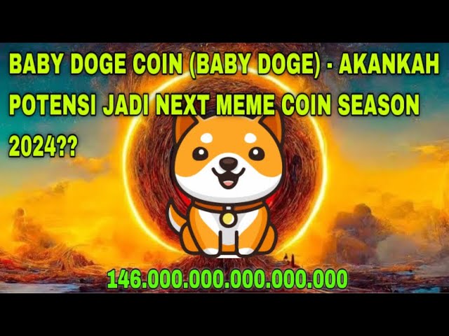 BABY DOGE COIN (BABY DOGE) - 2024 年の次のミーム コイン シーズンの可能性はありますか??