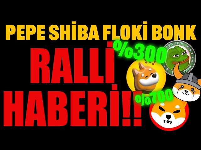 FLOKİ PEPE SHIBA BONK 新規出品ニュース!!今夜は注目!! #フロキ #ペペ #シブ #ボンク #ドージコイン