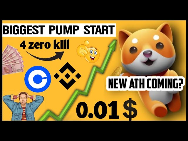 Kommt Baby Dogecoin zum Allerneuesten? 🥳🔥 BabyDoge Future 🔥 Heute Krypto-News