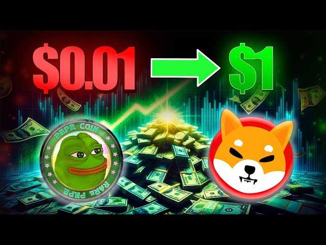 SHIBA INU COIN 및 PEPE COIN 그들은 당신을 1%로 데려갈 수 있습니다