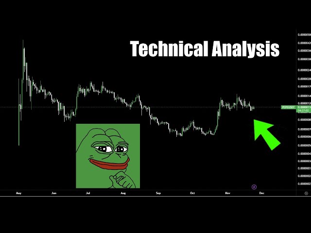 PEPE 코인 BOTTOM BULL RUN PUMP!? 2024년 PEPE 암호화폐 가격 예측 및 기술 분석 오늘