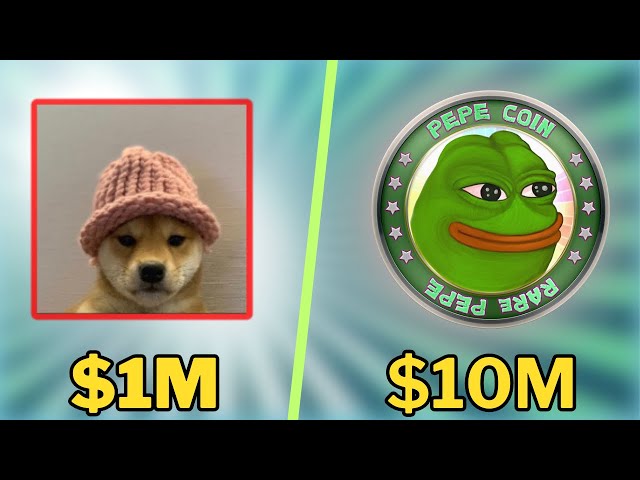 PEPE 코인 VS DOGWIHAT 코인 || 다음 중 어떤 동전을 1000달러로 구매해야 합니까?