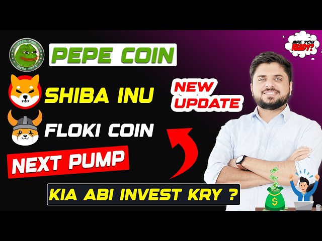 기아 아비 인베스 크라이? | PEPE COIN, SHIBA INU, FLOKI 신규 업데이트 | 다음 펌프?