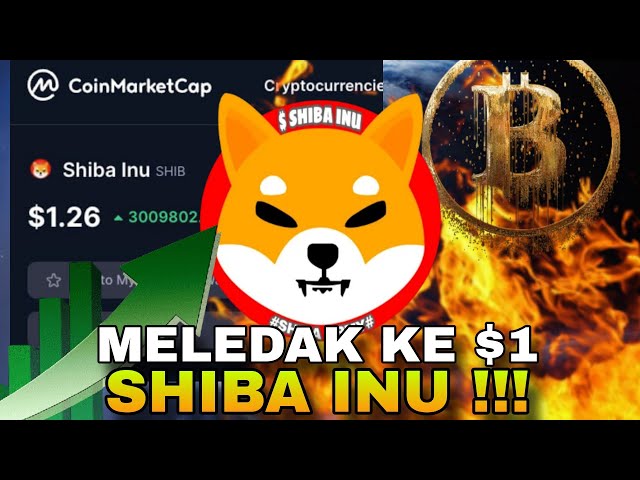 EXPLODIERT AUF 1 $ FÜR SHIBA INU!! ERSTE 1 MILLIARDE VON SHIBA INU