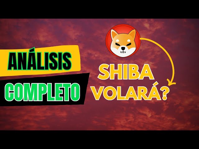 SHIBAINU IST DER AUFSTIEG VORBEI? | KOMPLETTE SHIBA-ANALYSE | #shib #memecoin