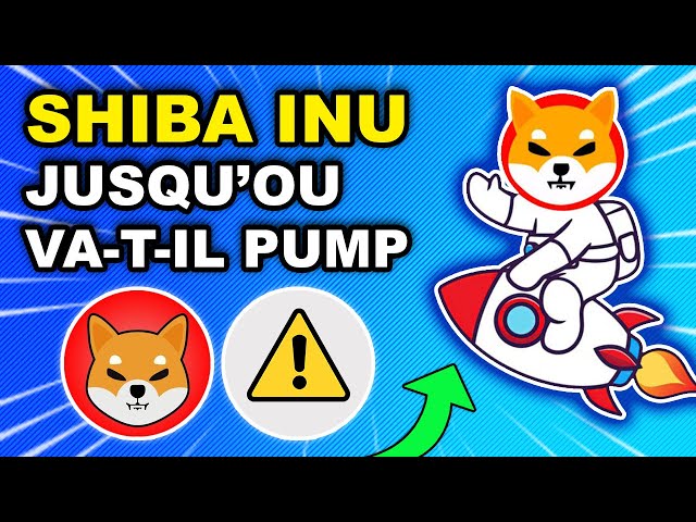 🚨 SHIBA INU: 800 % Steigerung der Sehkraft? Neues ATH? 🚀 DOGECOIN auch?! 🔥 (SHIB- und DOGE-Krypto-Neuigkeiten)