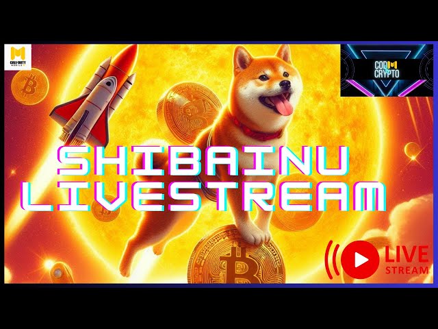 SHIBA INU TOKEN WIRD NICHT AUFHÖREN!! LFG SHIBARMY!!! #Krypto #codm #bitcoin #shib #ethereum